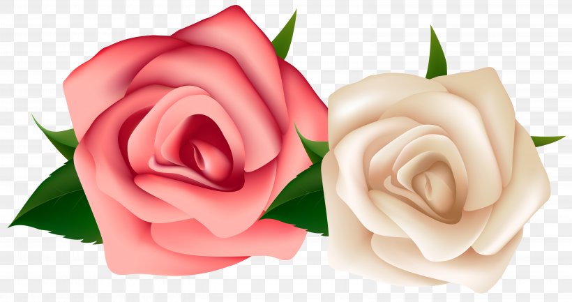 Rose White Pink Flowers Clip Art, PNG, 6332x3349px, Rose, Black And White, Black Rose, Close Up, Cut Flowers Download Free