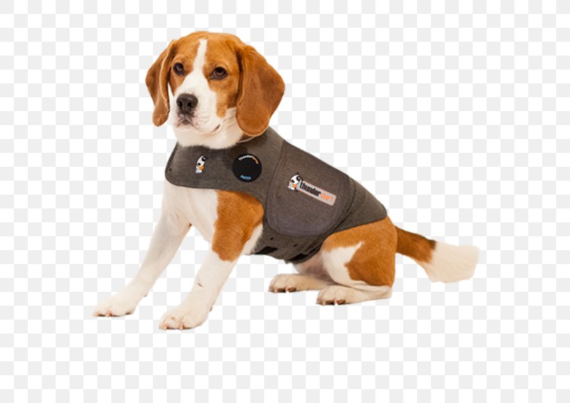 Thundershirt Dog Anxiety Pet Siberian Husky Separation Anxiety In Dogs ThunderWorks For Dogs And Cats, PNG, 580x580px, Pet, Anxiety, Beagle, Carnivoran, Clothing Download Free