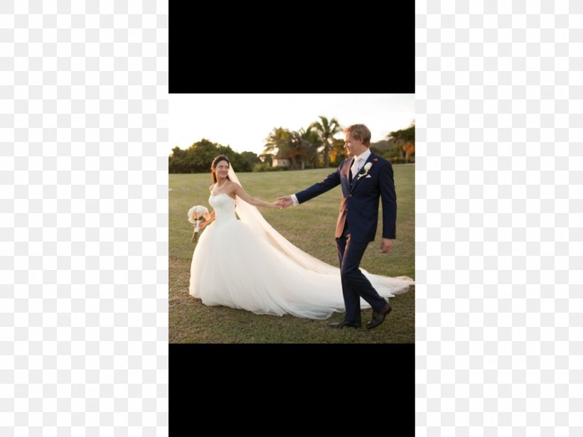 Wedding Dress Bride Gown, PNG, 1024x768px, Wedding Dress, Bridal Clothing, Bride, Ceremony, Dress Download Free