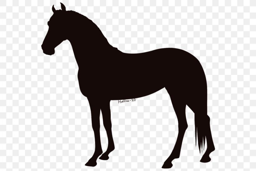 Foal Horse Vector Graphics Royalty-free Illustration, PNG, 1024x685px, Foal, Black And White, Bridle, Colt, English Riding Download Free