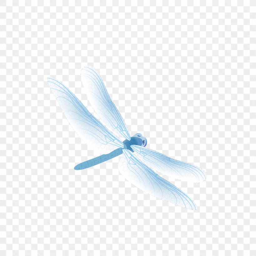 Insect Dragonfly Wallpaper, PNG, 1181x1181px, Insect, Animal, Azure, Blue, Dragonfly Download Free