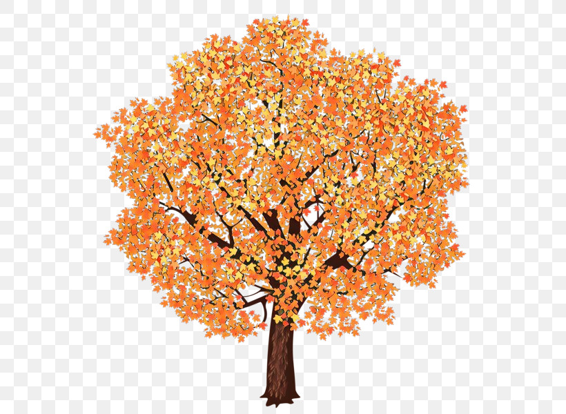 Orange, PNG, 581x600px, Tree, Autumn, Branch, Cut Flowers, Deciduous Download Free