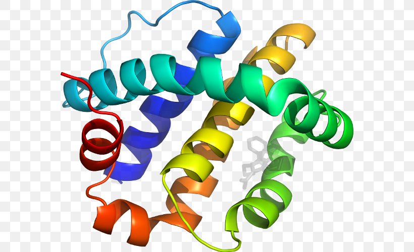 Protein Structure Protein Tertiary Structure Bioinformatics, PNG, 580x500px, Protein Structure, Animal Figure, Artwork, Biochemistry, Bioinformatics Download Free
