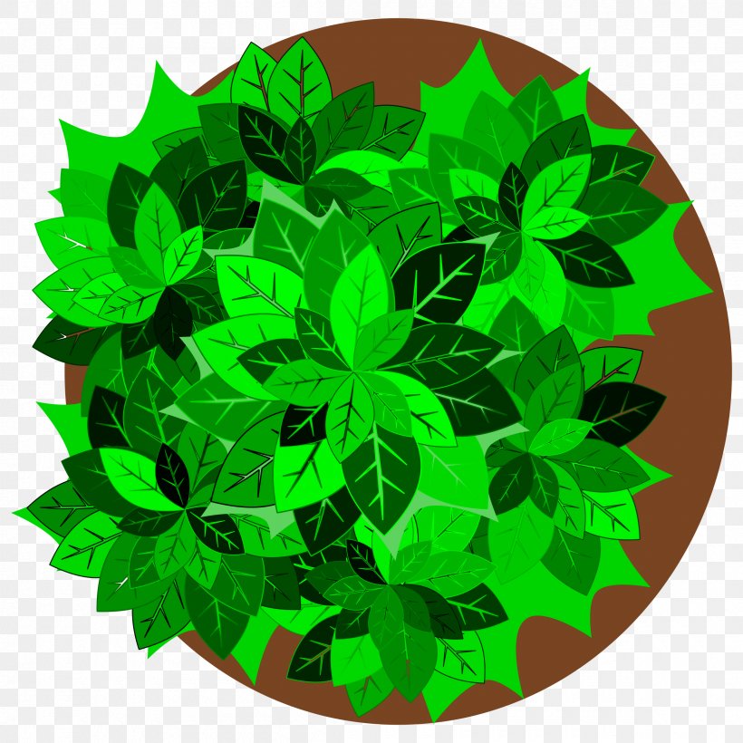 Tree Plant Clip Art, PNG, 2400x2400px, Tree, Box, Buckeyes, Grass, Green Download Free