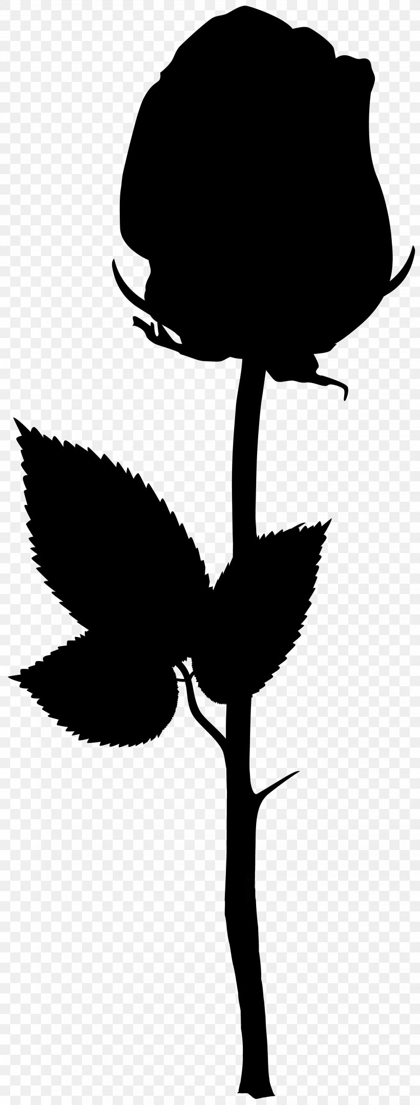 Clip Art Flower Plant Stem Leaf Silhouette, PNG, 3039x8000px, Flower, Blackandwhite, Botany, Branching, Flowering Plant Download Free