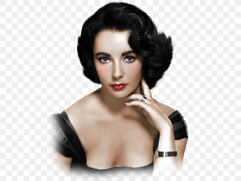 Elizabeth Taylor The Last Time I Saw Paris Hollywood Actor Movie Star, PNG, 505x616px, Elizabeth Taylor, Actor, Andy Warhol, Beauty, Black Hair Download Free