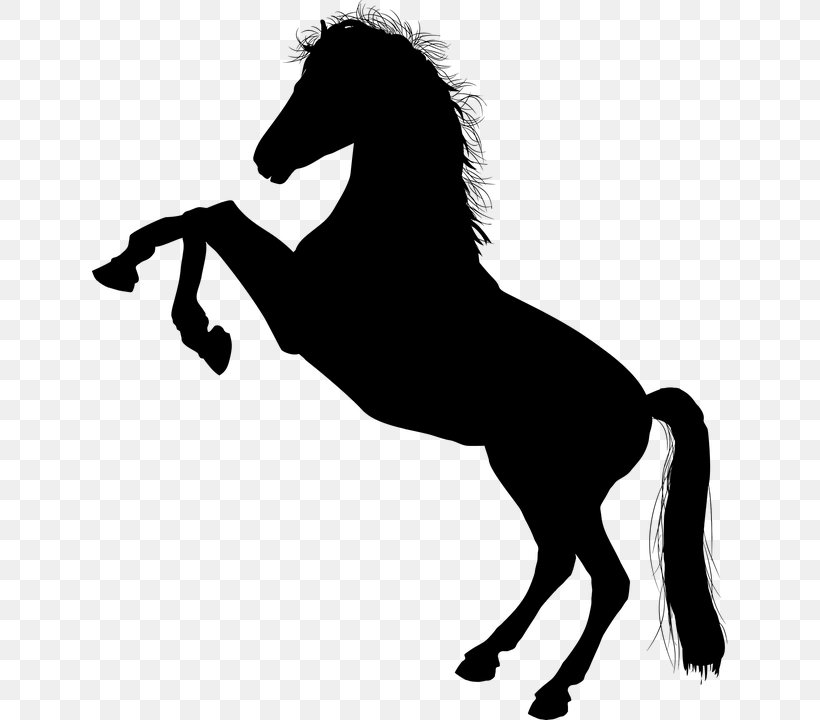 Horse Stallion Rearing Clip Art, PNG, 636x720px, Horse, Black, Black And White, Collection, Colt Download Free