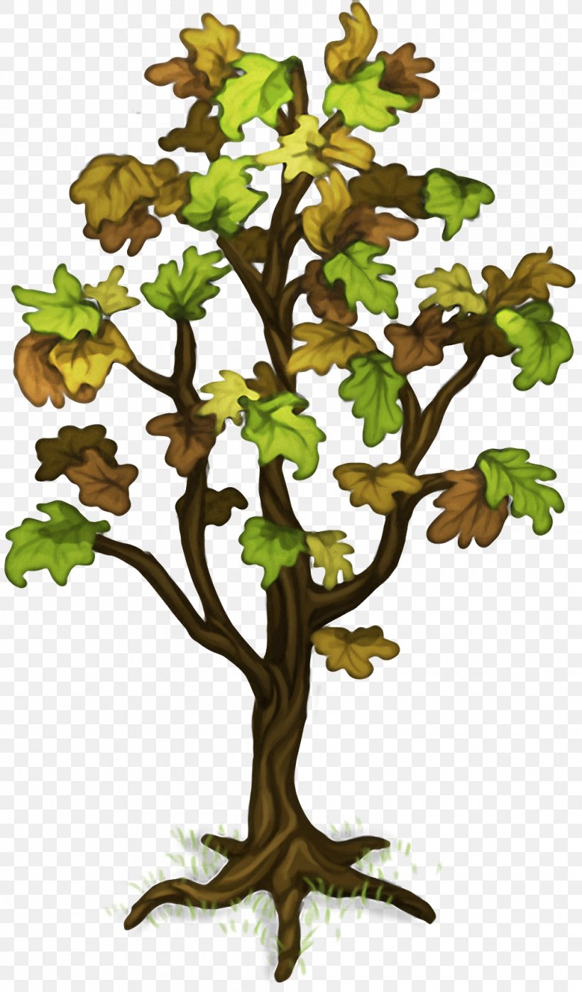 Plant Island Image Twig Wiki, PNG, 1017x1733px, Plant Island, Blog, Botany, Branch, Flower Download Free