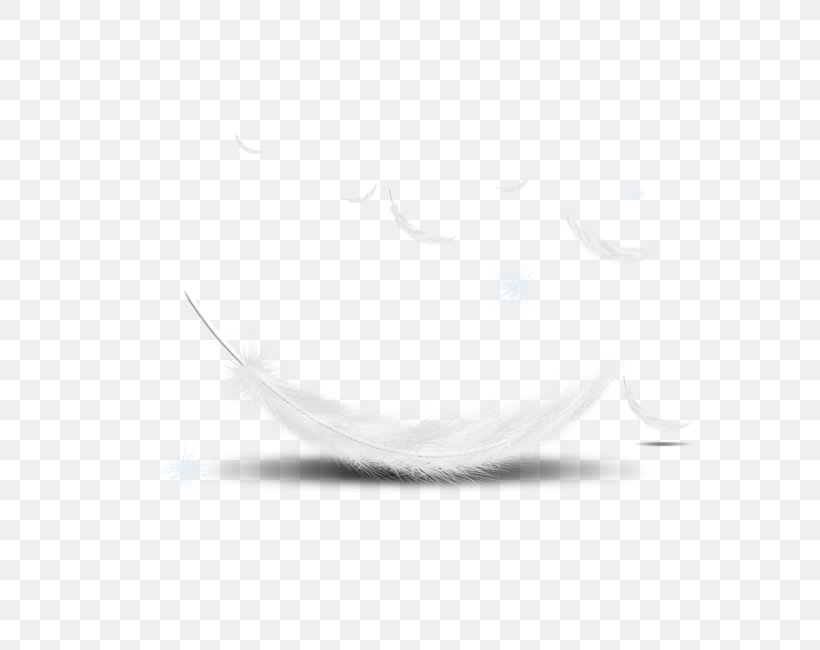 The Floating Feather White Feather, PNG, 650x650px, Floating Feather, Black And White, Element, Feather, Monochrome Download Free
