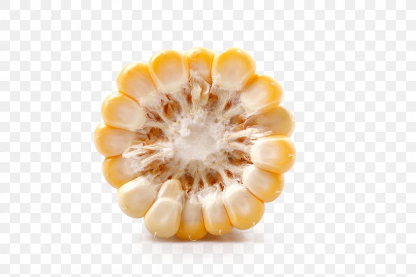 Waxy Corn Popcorn Maize Sweet Corn, PNG, 1024x683px, Waxy Corn, Agriculture, Hybrid Seed, Maize, Peach Download Free