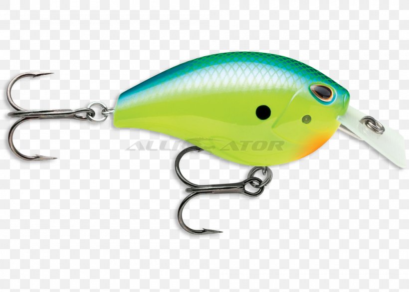 Fishing Baits & Lures Storm Fish Hook, PNG, 1000x715px, Fishing, Bait, Bass Fishing, Fish, Fish Hook Download Free