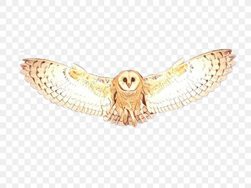 Owl Barn Owl Bird Of Prey Wing Bird, PNG, 1024x768px, Cartoon, Barn Owl, Beige, Bird, Bird Of Prey Download Free