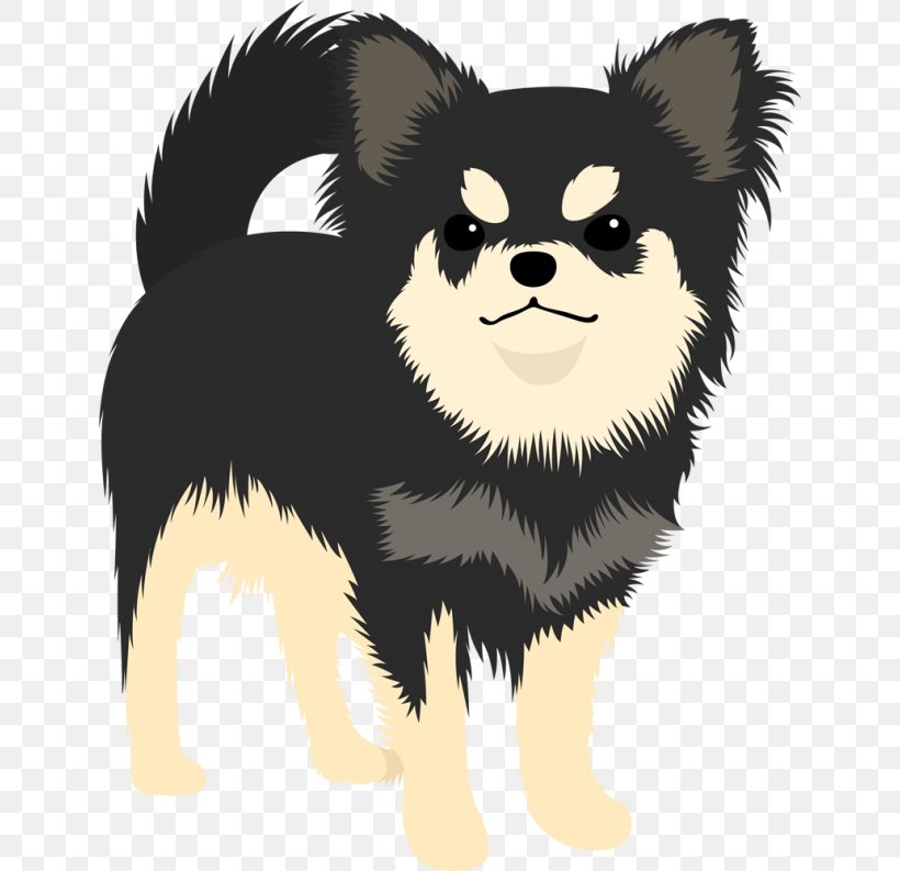 Pomeranian Puppy Chihuahua Dog Breed Companion Dog, PNG, 640x793px, Pomeranian, Breed Group Dog, Carnivoran, Chihuahua, Companion Dog Download Free