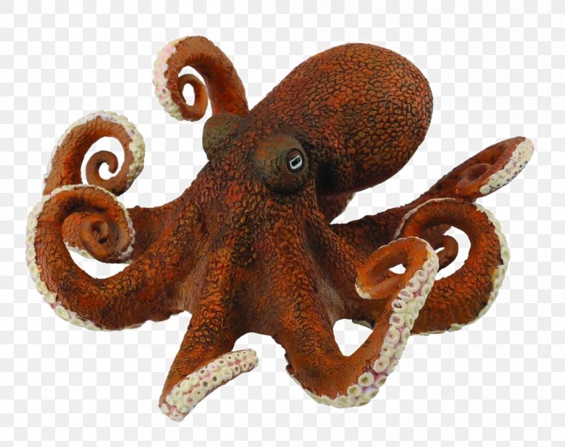 Collecta Octopus Toy Amazon.com Collecta Orca -XL-, PNG, 1200x950px, Octopus, Action Toy Figures, Amazoncom, Animal, Animal Figurine Download Free