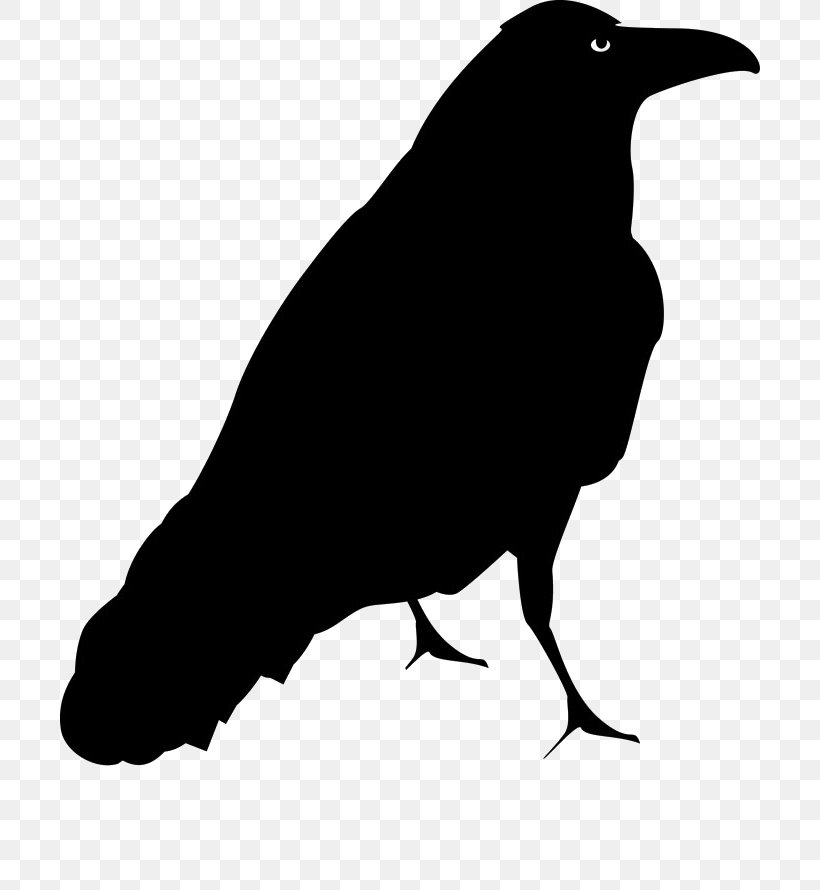 Common Blackbird Drawing Clip Art, PNG, 700x890px, Bird, American Crow, Beak, Black And White, Common Blackbird Download Free