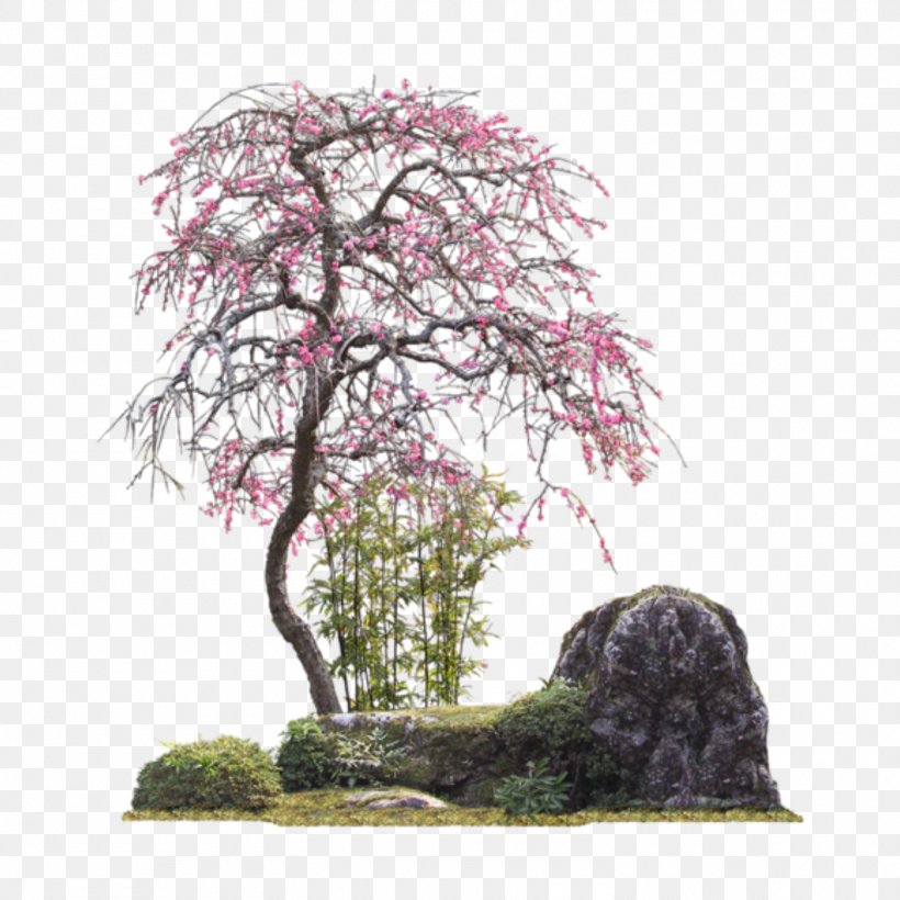 Clip Art Image Tree Psd, PNG, 1500x1500px, Tree, Bonsai, Branch, Flower, Houseplant Download Free