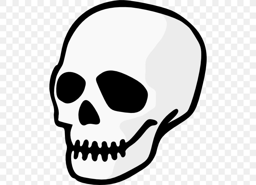 Skull Clip Art, PNG, 504x593px, Skull, Artwork, Black And White, Bone, Face Download Free