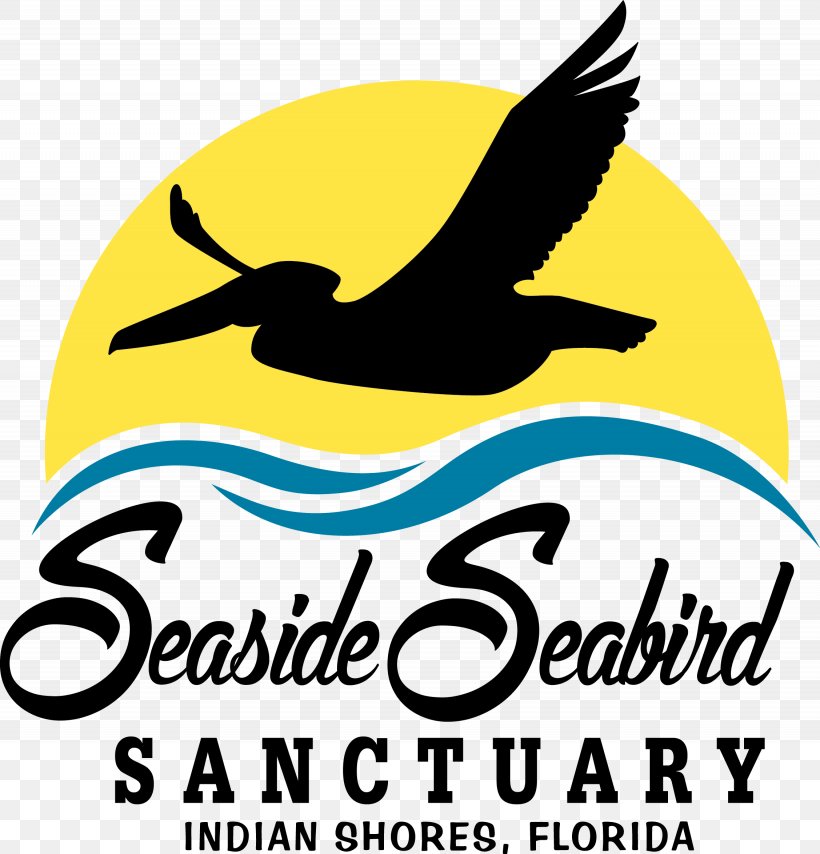 Suncoast Seabird Sanctuary Seaside Seabird Sanctuary Beak Pelican, PNG, 2255x2349px, Suncoast Seabird Sanctuary, Arctic Tern, Area, Artwork, Beak Download Free