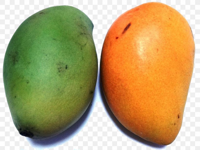 Mango Mangifera Indica Fruit Seed, PNG, 1019x766px, Mango, Auglis, Citrus, Food, Fruit Download Free