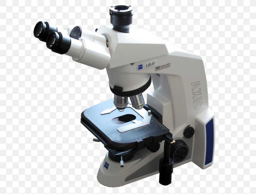 Microscope Carl Zeiss AG Laboratory History Computer, PNG, 665x622px, Microscope, Binocular Vision, Budget, Carl Zeiss Ag, Carl Zeiss Sports Optics Gmbh Download Free