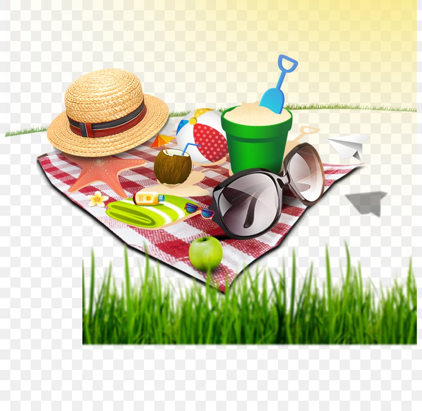 Poster Icon, PNG, 800x800px, Poster, Beach, Cuisine, Designer, Grass Download Free
