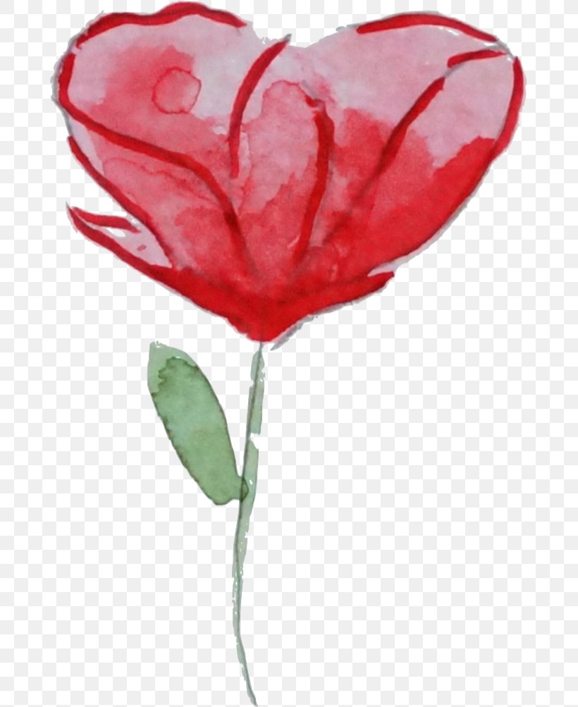 Flower Garden Roses Watercolor Painting Poppy Clip Art, PNG, 677x1003px, Flower, Coquelicot, Flowering Plant, Garden Roses, Heart Download Free