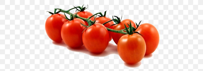 Pizza Cherry Tomato Vegetable Grape Tomato Cheese And Tomato Sandwich, PNG, 500x288px, Pizza, Bush Tomato, Canned Tomato, Cheese And Tomato Sandwich, Cherry Tomato Download Free