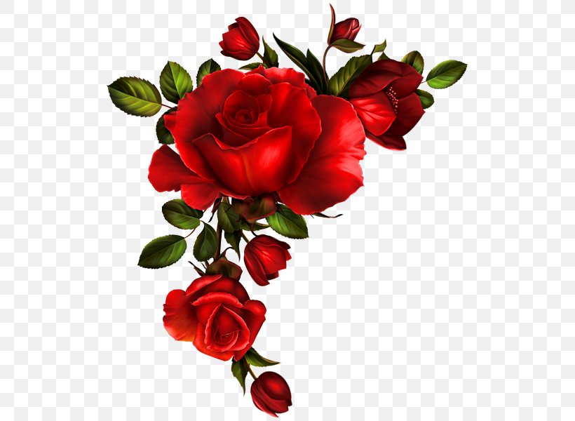 Rose Flower Clip Art, PNG, 525x600px, Rose, Artificial Flower, Color, Cut Flowers, Floral Design Download Free