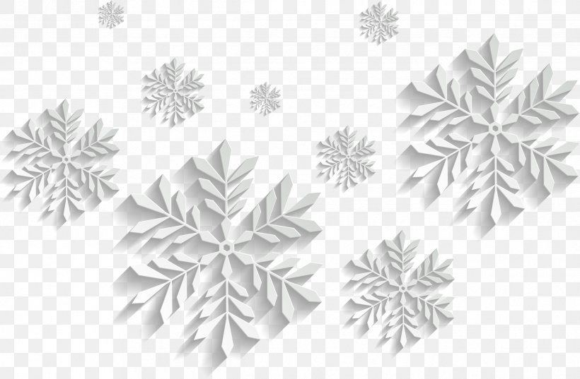 Snowflake Schema, PNG, 2433x1595px, Snow, Black And White, Monochrome, Monochrome Photography, Petal Download Free