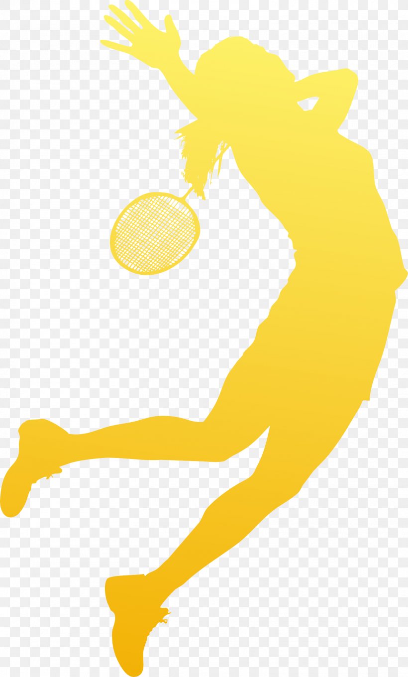 Badminton Sport Olympic Games Download, PNG, 1567x2599px, Badminton, Area, Art, Football, Google Images Download Free