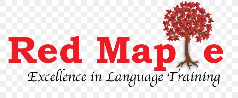 Red Maple (idiomas) Logo Economy Font Market, PNG, 769x340px, Logo, Brand, Economy, English Language, Maple Download Free