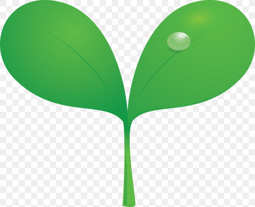 Sprout Bud Seed, PNG, 3000x2438px, Sprout, Bud, Flush, Green, Leaf Download Free