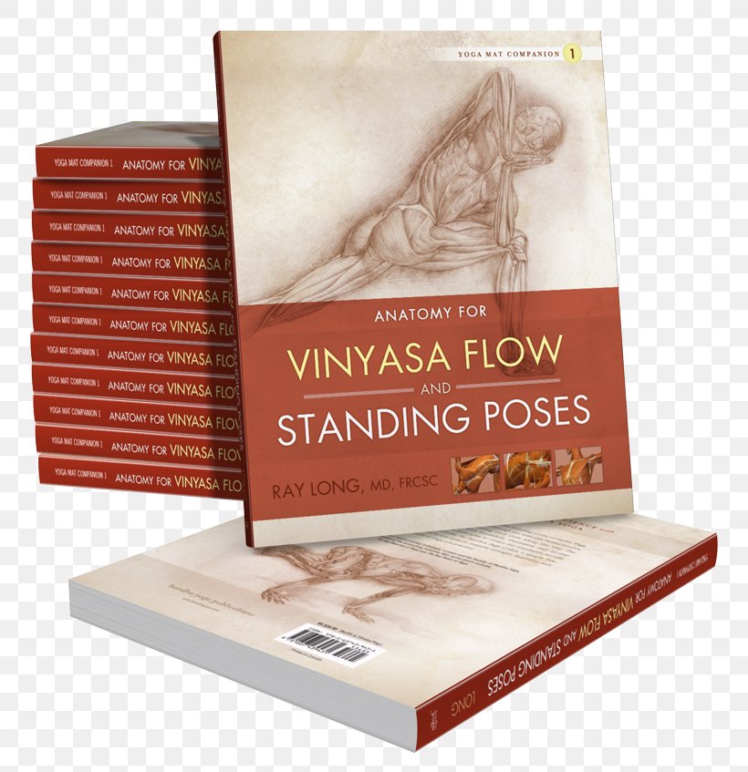 Anatomy For Vinyasa Flow And Standing Poses: Yoga Mat Companion 1 Backbends And Twists The Key Muscles Of Yoga: Scientific Keys Hatha Yoga, PNG, 785x847px, Yoga, Anatomy, Ashtanga Vinyasa Yoga, Book, Exercise Download Free