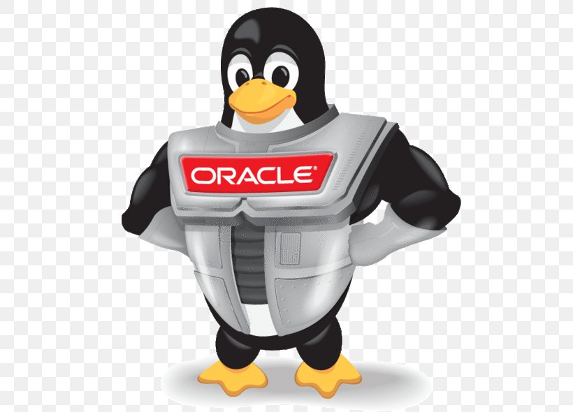 Oracle Linux Oracle Corporation VirtualBox Linux Distribution, PNG, 500x590px, Oracle Linux, Beak, Bird, Docker, Fedora Download Free