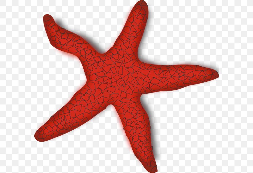 Starfish Clip Art, PNG, 600x563px, Starfish, Animal, Blog, Echinoderm, Free Content Download Free
