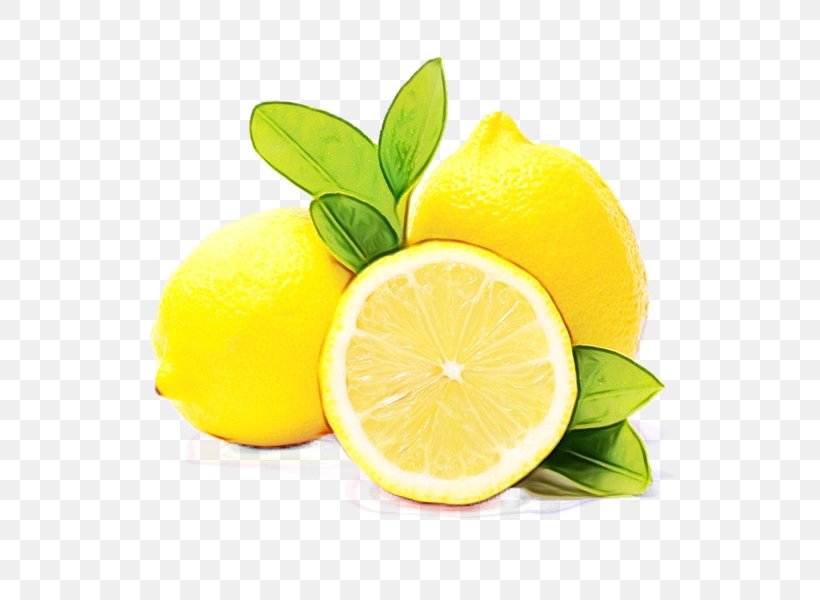Lemon Citrus Persian Lime Lime Lemon-lime, PNG, 600x600px, Watercolor, Citric Acid, Citron, Citrus, Fruit Download Free