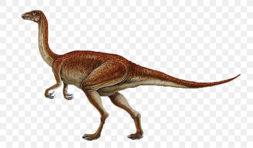 Segnosaurus Dinosaur Size Late Cretaceous Buitreraptor Thecodontosaurus, PNG, 756x481px, Segnosaurus, Buitreraptor, Cretaceous, Dinosaur, Dinosaur Egg Download Free