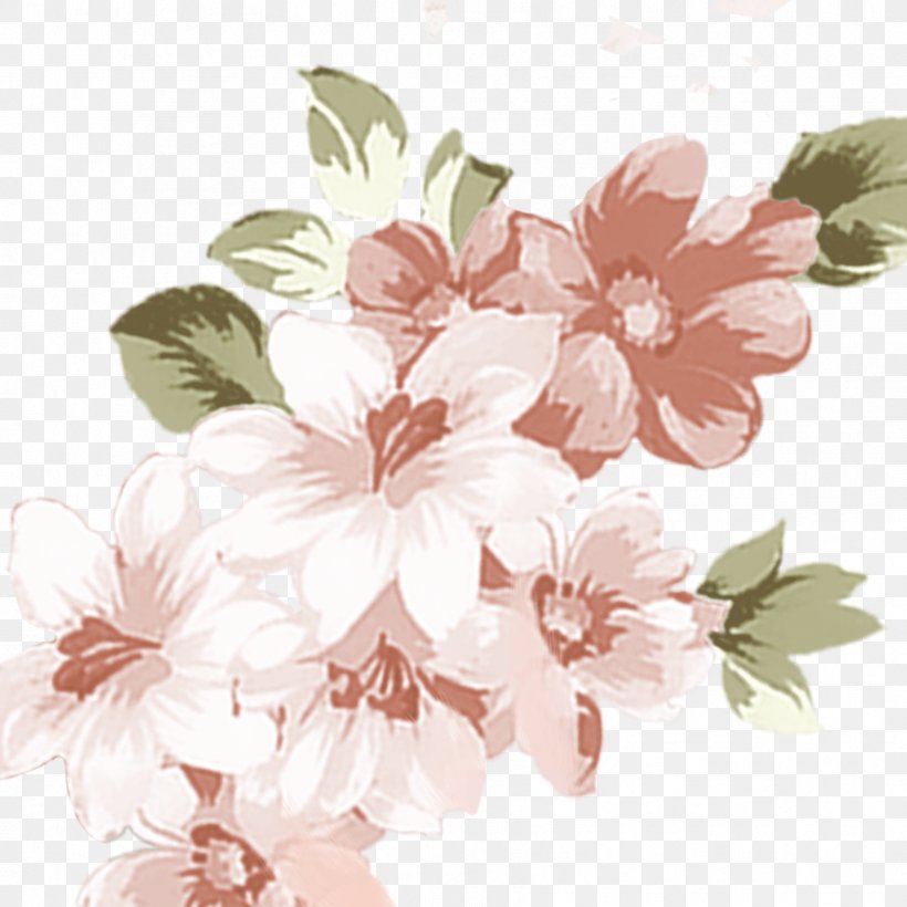 Floral Design Rosaceae Cherry Blossom Pattern, PNG, 886x886px, Floral Design, Blossom, Branch, Cherry, Cherry Blossom Download Free
