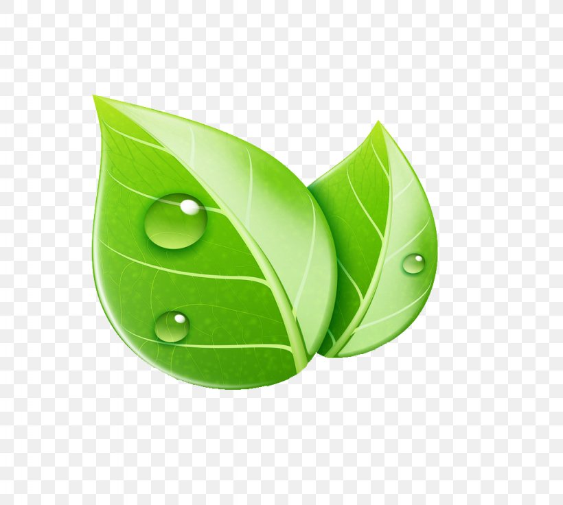 Leaf Royalty-free Ecology Illustration, PNG, 1024x920px, Leaf, Ecology, Environmentally Friendly, Grass, Green Download Free