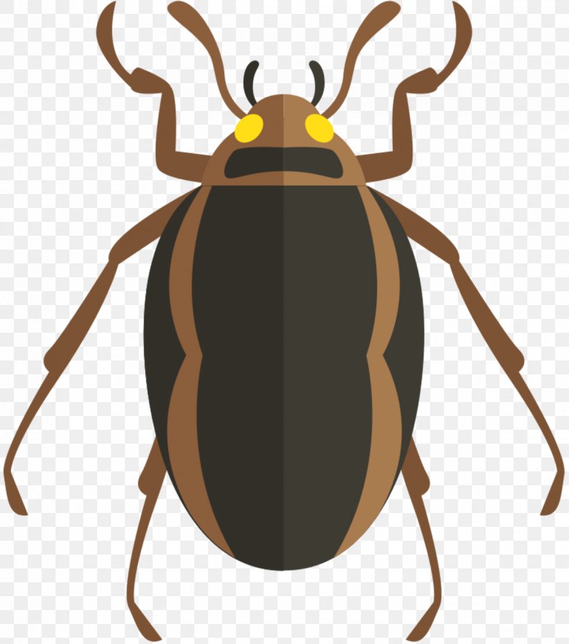 Vector Graphics Beetle Image Cockroach, PNG, 1236x1401px, Beetle, Antenna, Arthropod, Blister Beetles, Bug Download Free