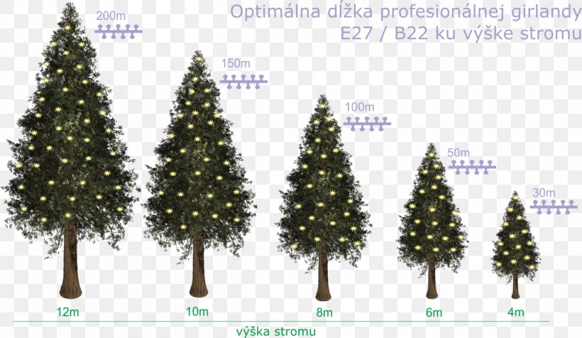Christmas Tree Spruce Fir Christmas Ornament Pine, PNG, 1200x697px, Christmas Tree, Christmas, Christmas Decoration, Christmas Ornament, Conifer Download Free