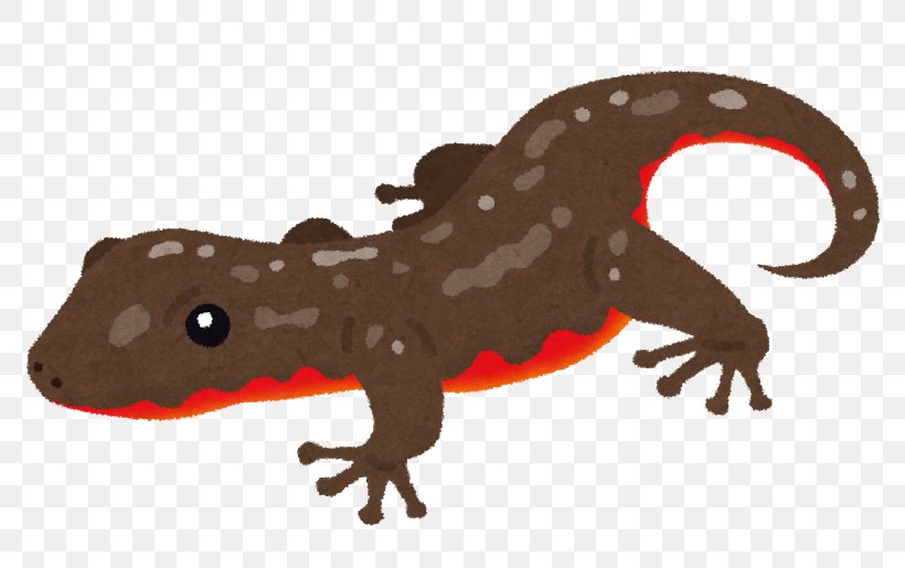 Japanese Fire Belly Newt Amphibian Vertebrate Schlegel's Japanese Gecko Reptile, PNG, 800x515px, Japanese Fire Belly Newt, Amphibian, Animal, Animal Figure, Axolotl Download Free