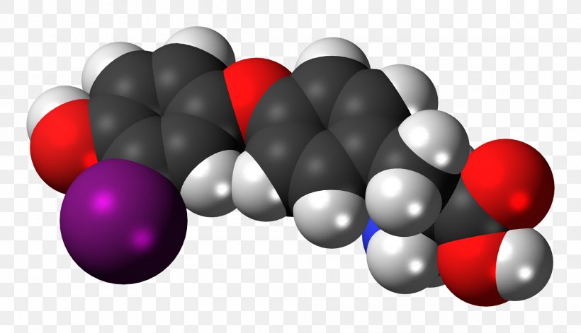 Tyrosine Space-filling Model Levodopa Zwitterion Adrenaline, PNG, 2000x1150px, Tyrosine, Acid, Adrenaline, Amino Acid, Balloon Download Free