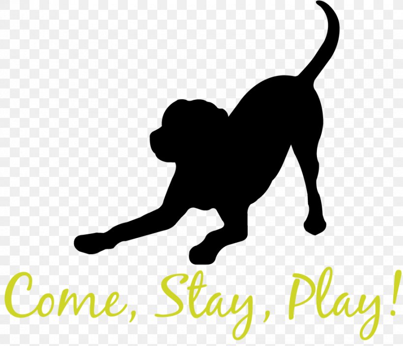 Cat Dog Breed Pet Sitting Dog Daycare, PNG, 913x784px, Cat, Affectionate Pet Care, Big Cats, Black, Black And White Download Free