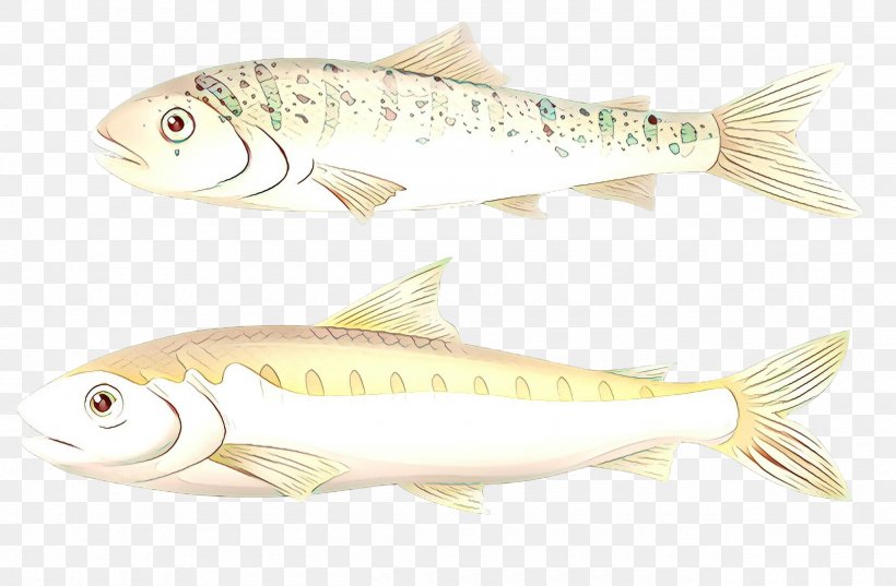 Fish Cartoon, PNG, 2560x1679px, Cartoon, Biology, Bonyfish, Cyprinidae, Fish Download Free