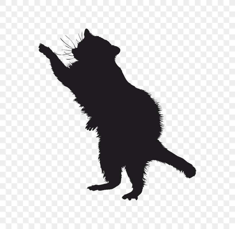 Raccoon Coyote Silhouette Drawing Clip Art, PNG, 800x800px, Raccoon, Animal, Black, Black And White, Black Cat Download Free