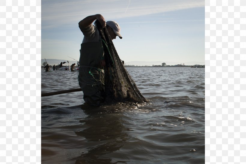 Recreational Fishing Fisherman, PNG, 1024x682px, Recreational Fishing, Fisherman, Fishing, Hobby, Recreation Download Free