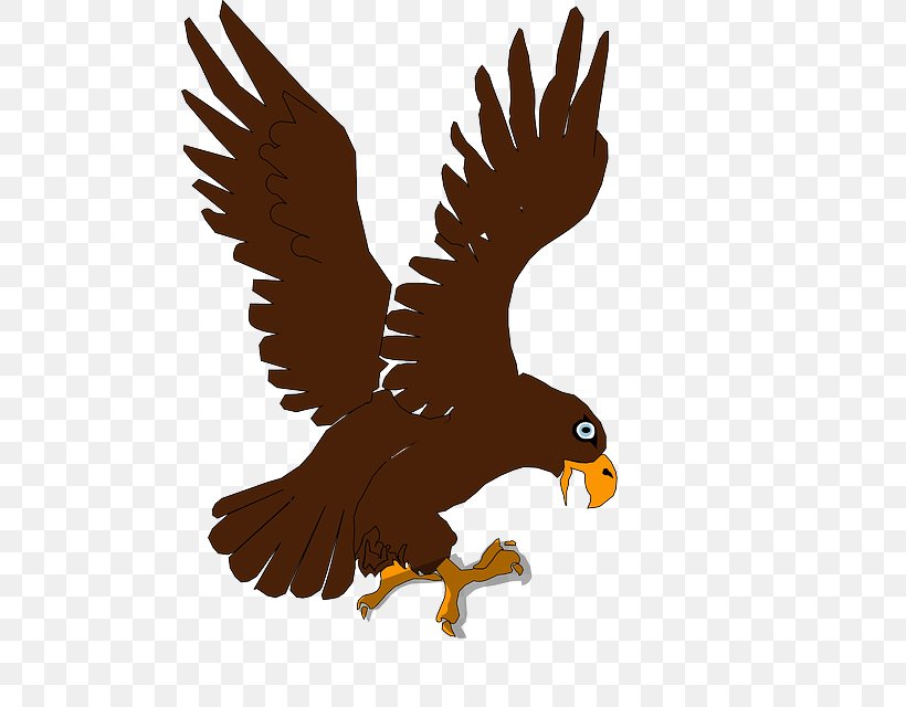 Bald Eagle Bird Of Prey Clip Art, PNG, 491x640px, Bald Eagle, Beak, Bird, Bird Of Prey, Blackandwhite Hawkeagle Download Free