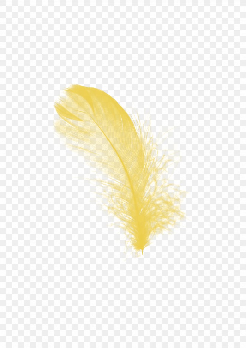 Feather Yellow Image Design, PNG, 2480x3508px, Feather, Designer, Quill, Yellow Download Free
