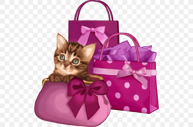 Handbag Le Petit Cuisinier, PNG, 530x540px, Handbag, Bag, Blog, Cat, City Download Free